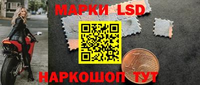 гидропоника Будённовск