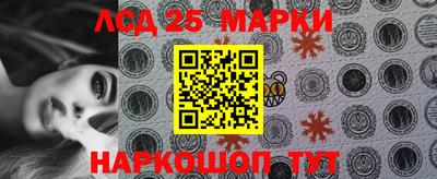 гидропоника Будённовск