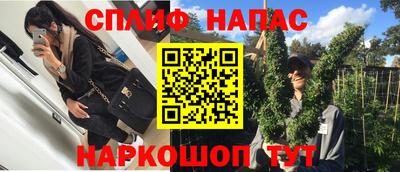 гидропоника Будённовск