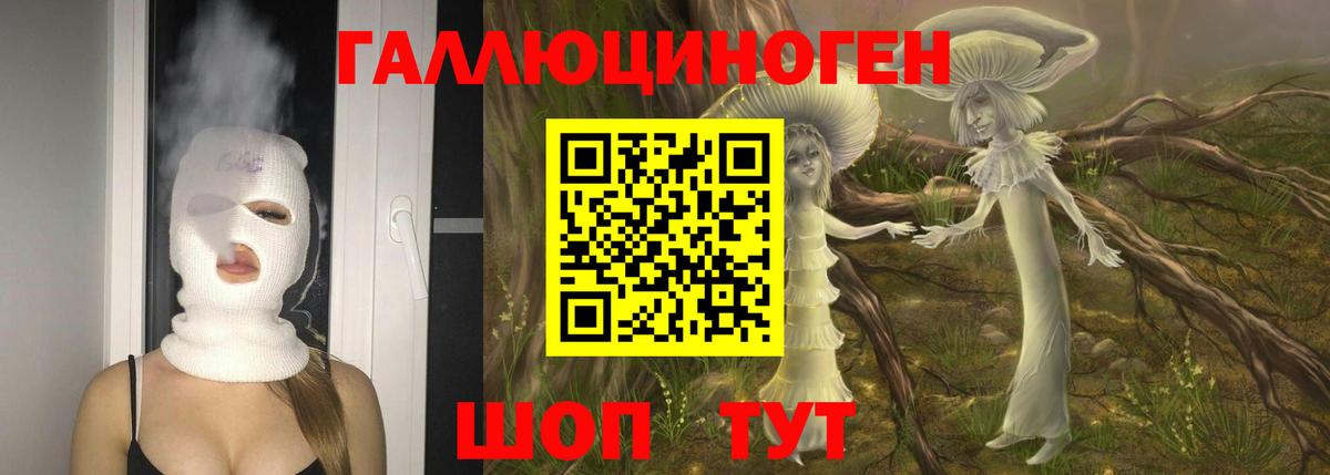 Галлюциногенные грибы MAGIC MUSHROOMS  Вход с VPN  Псилоцибиновые грибы Psilocybe  Советский 