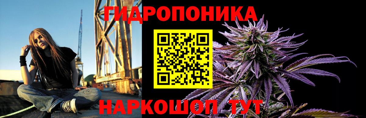 Бошки марихуана SATIVA & INDICA Советский